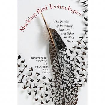 Vitalsource Technologies, Inc. Mocking Bird Technologies
