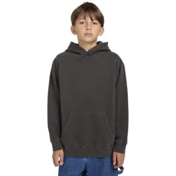Jungen Kapuzensweatshirt ELEMENT Lowcase Pigment Po Y
