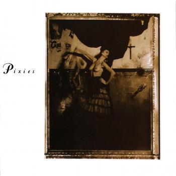 Rosa Onde
