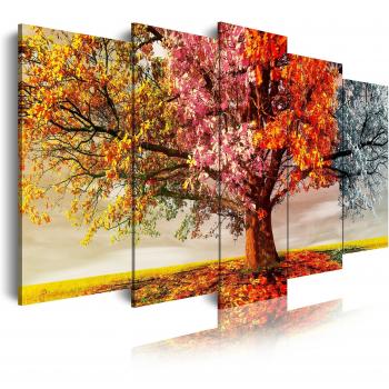 DekoArte Landschaftsbilder: 5-teiliges Set für stilvolle Raumgestaltung