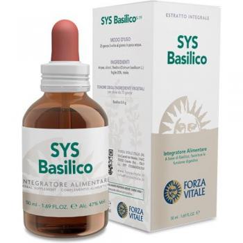 Extrato de Manjericão 50ml