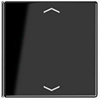 Black Switch Plate for LS 404 TSAP SW 14
