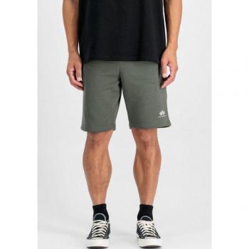 Alpha Industries Shorts mit kleinem Logo II