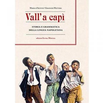 Vall' a capì. Storia e grammatica della lingua napoletana