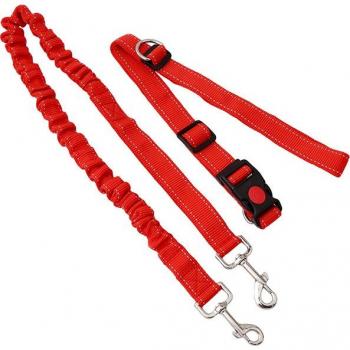 Corde longue pour chien