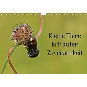 Kleine Tiere in trauter Zweisamkeit