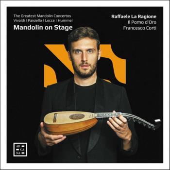 Mandolin On Stage Performer