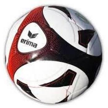 Erima Trainingssystem HYBRID SPORT2000 – 5 kg