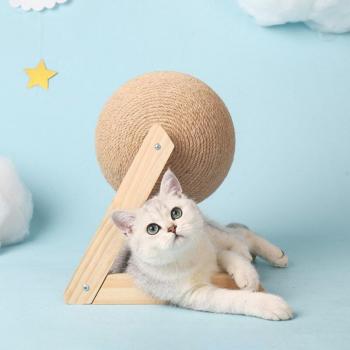 Kitten Friendly Cat Scratch Post