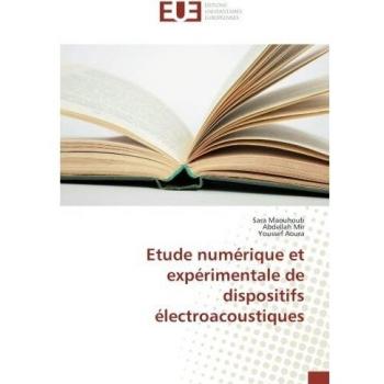 Etude numérique et expérimentale de dispositifs électroacoustiques