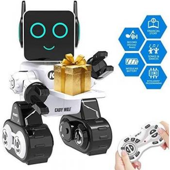 Built-in Piggy Bank Touch Control Robot