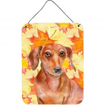 Red Dachshund Fall Metal Print by Caroline's Treasures – 16x12
