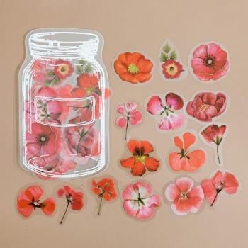 DIY Kit d’Étiquettes Kawaii « Bouteille Complet » – Set de 35