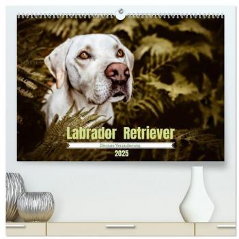 Verzauberung Labrador Retriever 2025 (hochwertiger Premium Wandkalender 2025 DIN A2 quer) Kunstdruck in Hochglanz