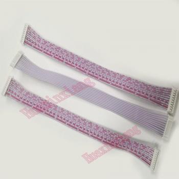 10PCS 20CM PH2.0 Dual-Head Terminal Harness Wire