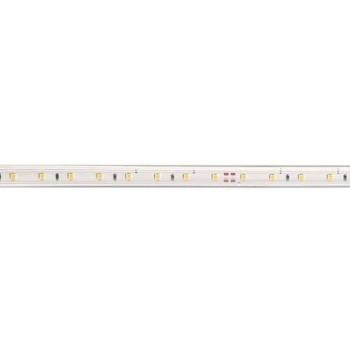 Ruban Lumineux Aric 230