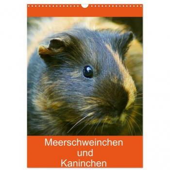 Meerschweinchen und Kaninchen Familienplaner (Wandkalender 2025 DIN A3 hoch) CALVENDO Monatskalender