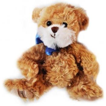 Lekkerbruine Ours – 15 cm – Handwasbaar – CE-gecertificeerd