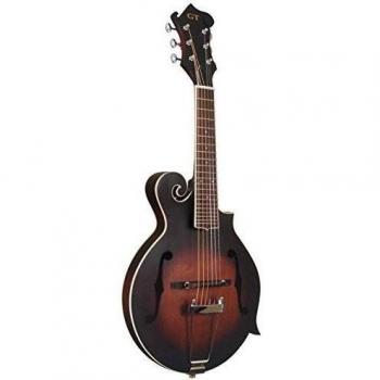 2023 Gold Tone F-6 Tobacco Sunburst