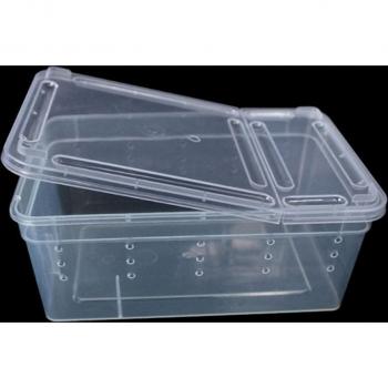 Transparent Reptile Habitat Box