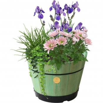 Medium Build-a-Barrel Kit Sage Green