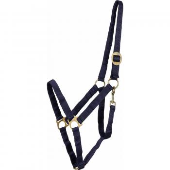 Harnais en Nylon de HorseGuard