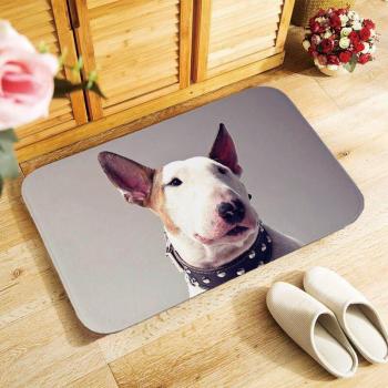 Alfombra de Entrada Antideslizante Bullterrier 40x60cm