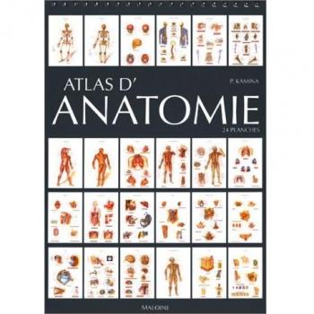 ATLAS D'ANATOMIE. 24 planches