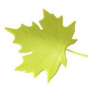 Feuille d’Érable Bloc de Protection
