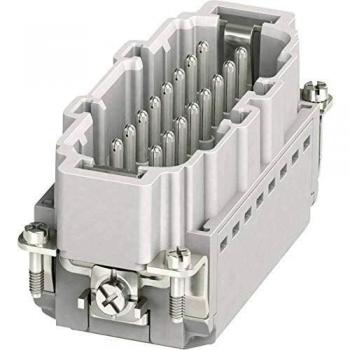 Phoenix Contact 1407732 Pin insert HC-B 16 + PE Plug & Clip 1 pc(s)