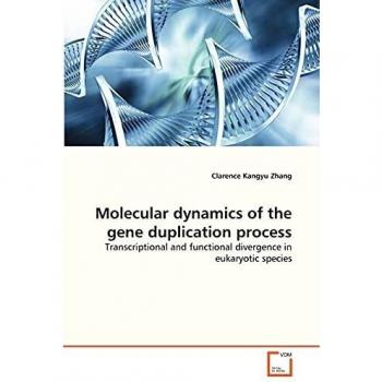 Molecular dynamics of the gene duplication process