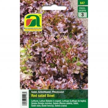 Laitue Red Salad Bowl bio