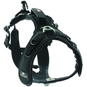 Imbracatura Raidlight I-Dog Nera M per Cani