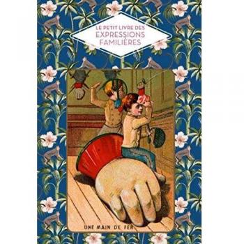 LE PETIT LIVRE DES EXPRESSIONS FAMILIERES