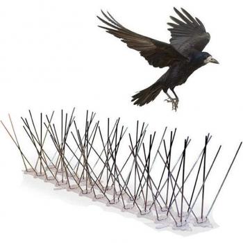 Kit de pinchos anti-aves de acero inoxidable, 10 pies (3 metros)