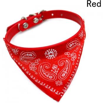 Accessoires pour petits chiens et chats