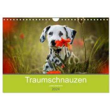 Traumschnauzen (Wandkalender 2024 DIN A4 quer) CALVENDO Monatskalender
