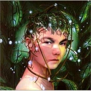 Bjork