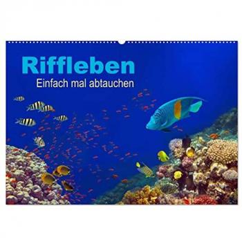 Riffleben Wandkalender 2025 DIN A2 quer