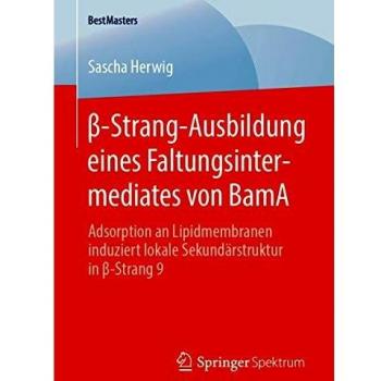 -Strang-Ausbildung eines Faltungsintermediates von BamA