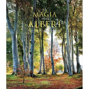 La magia degli alberi. Viaggio fotografico tra i giganti della terra. Ediz. illustrata