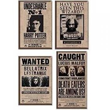 Pack de 4 Magnets Harry Potter