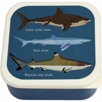 Rex London Snackbox Haie 3er Set, BPA-frei, Kunststoff