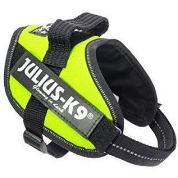 Julius-K9 IDC Power Harness