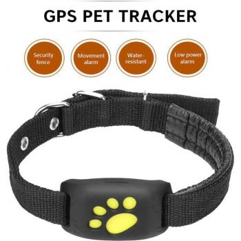 HobbyLane GSM/GPRS Dog Finder
