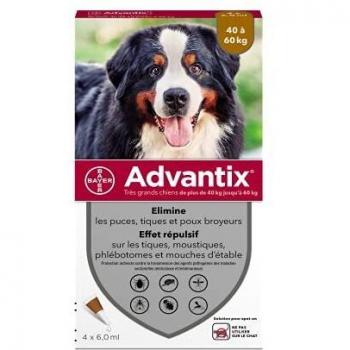 Très grand chien +40 kg 4 pipettes