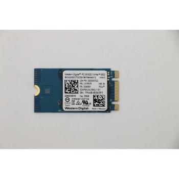 Lenovo SDK 1101 256GB M.2 PCIe 2242 Solid State Drive