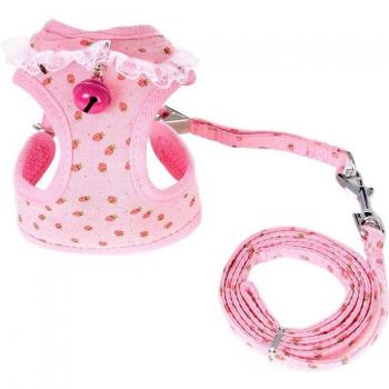 Chihuahua Charm Lace Walking Gear