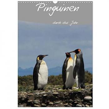 Mit Pinguinen durch das Jahr (Wandkalender 2025 DIN A3 hoch) CALVENDO Monatskalender