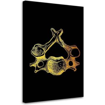Impressione Oro di Anatomia Umana 40x60